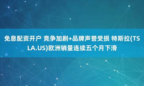 免息配资开户 竞争加剧+品牌声誉受损 特斯拉(TSLA.US)欧洲销量连续五个月下滑