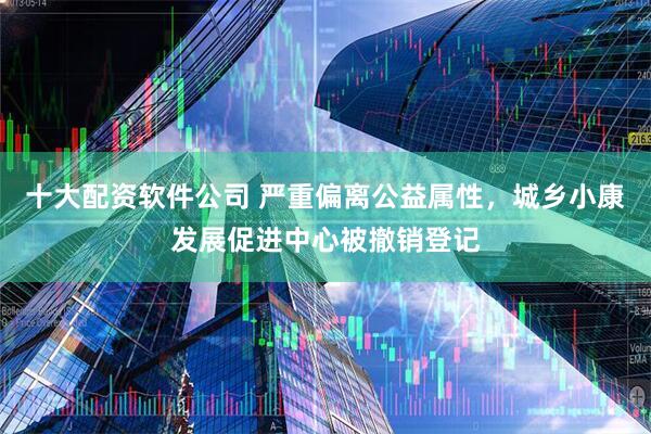 十大配资软件公司 严重偏离公益属性，城乡小康发展促进中心被撤销登记