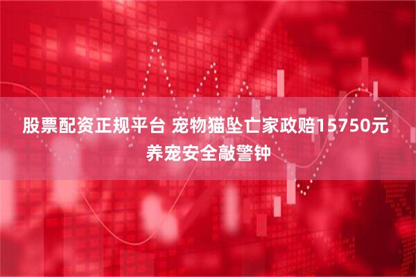 股票配资正规平台 宠物猫坠亡家政赔15750元 养宠安全敲警钟